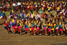 Умхланга. День VII. Танец перед королем