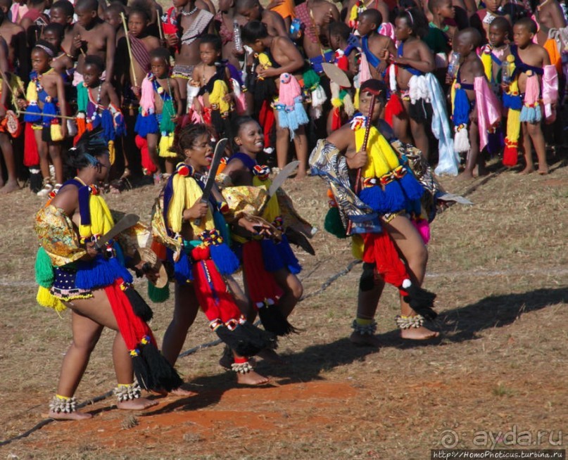 Умхланга. День VII. Танец перед королем