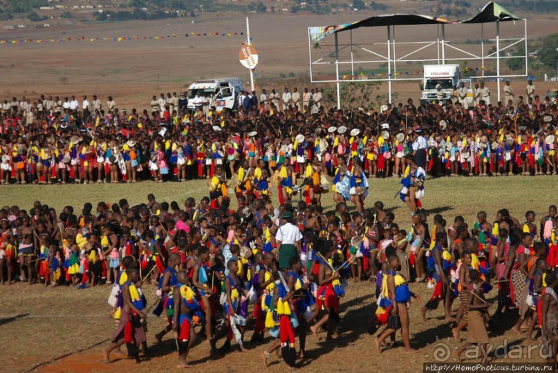 Умхланга. День VII. Танец перед королем