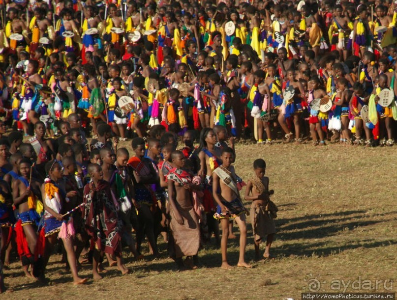 Умхланга. День VII. Танец перед королем