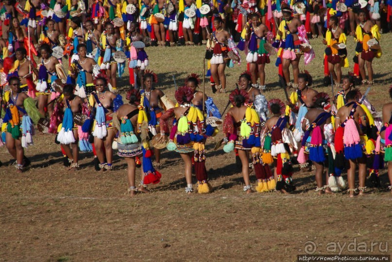 Умхланга. День VII. Танец перед королем