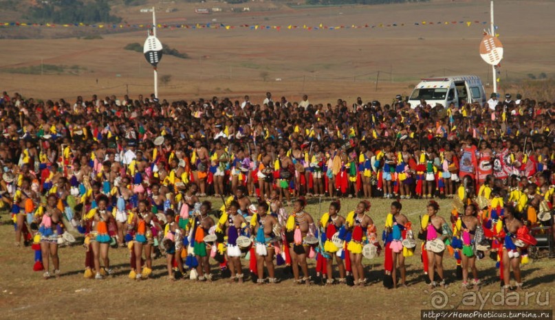 Умхланга. День VII. Танец перед королем