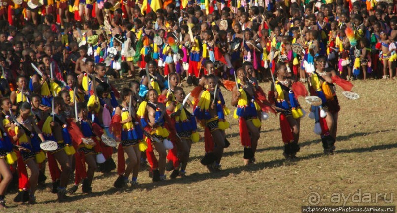 Умхланга. День VII. Танец перед королем