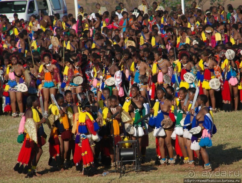 Умхланга. День VII. Танец перед королем