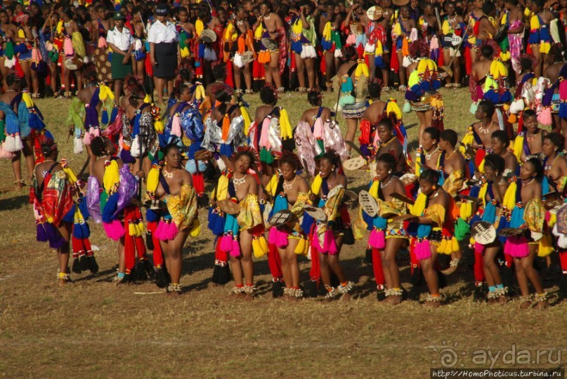 Умхланга. День VII. Танец перед королем