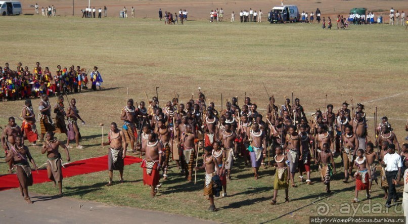 Умхланга. День VII. Танец перед королем