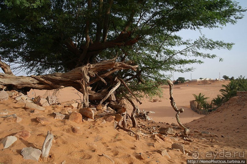 Заметенный песками