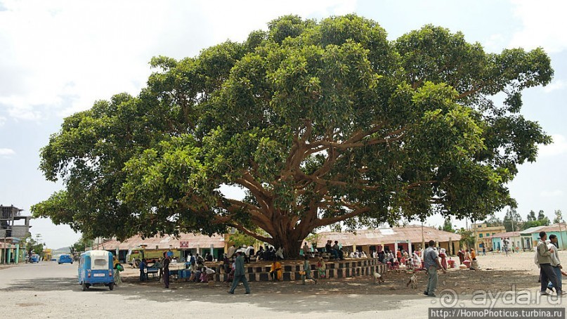Останки былого величия империи