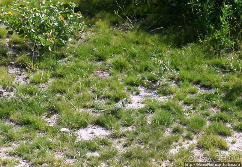 Большое белое место. Запад