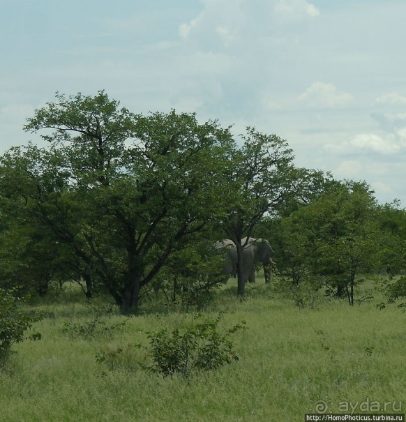Большое белое место. Запад