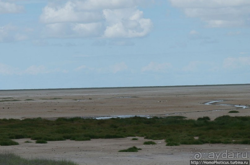 Большое белое место. Запад
