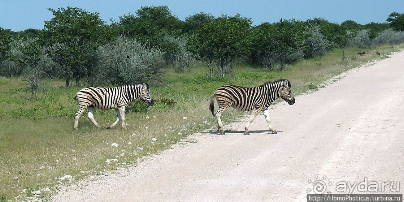 Большое белое место. Запад