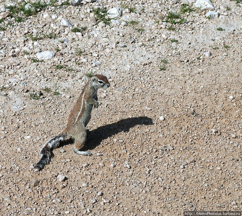 Большое белое место. Запад