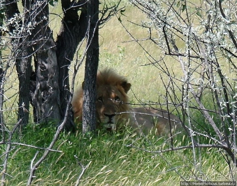 Большое белое место. Запад