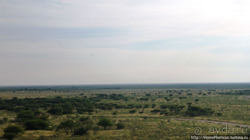 Большое белое место. Запад