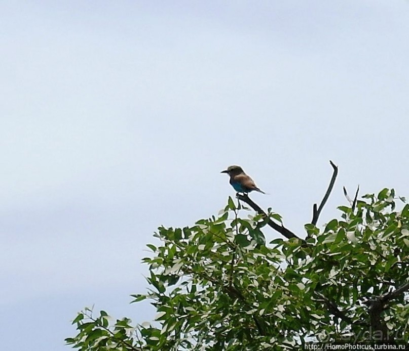 Большое белое место. Запад