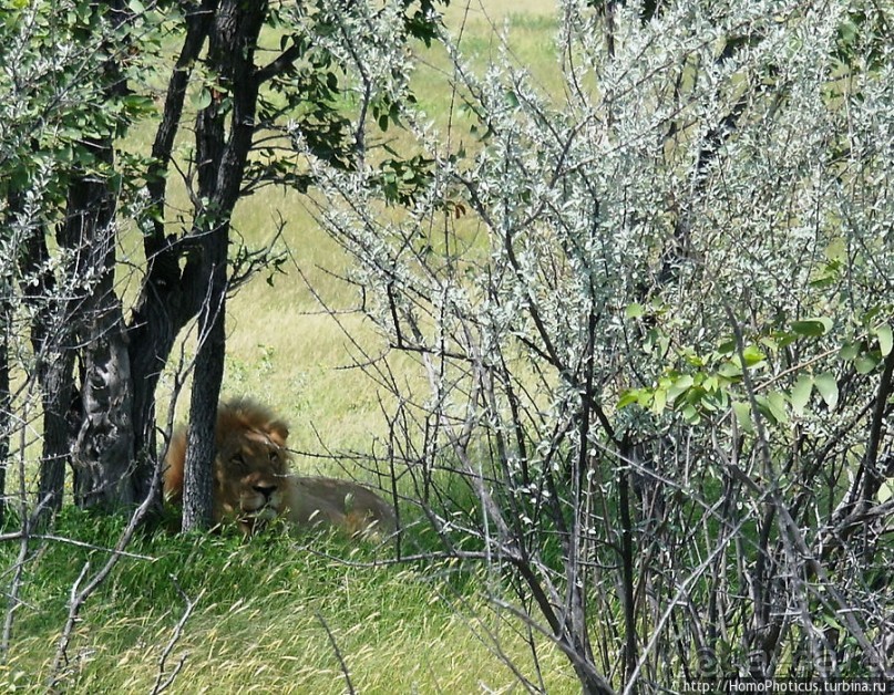 Большое белое место. Запад