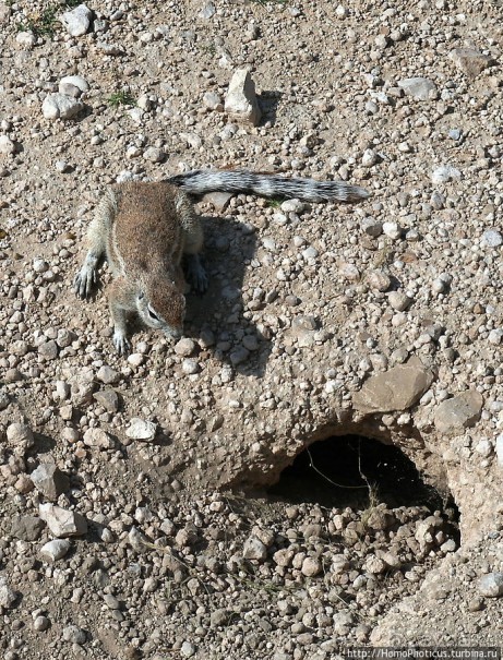 Большое белое место. Запад