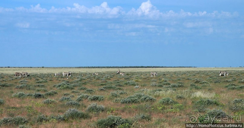 Большое белое место. Запад