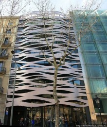 Экспресс-Барса