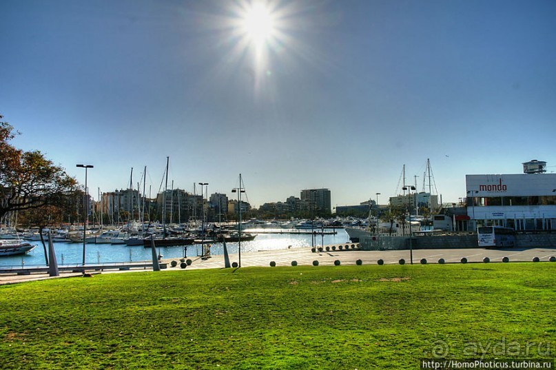 Экспресс-Барса