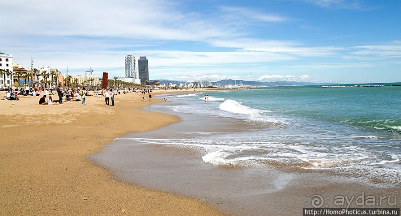 Экспресс-Барса