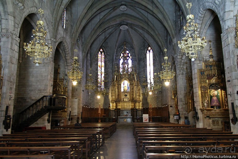 Экспресс-Барса