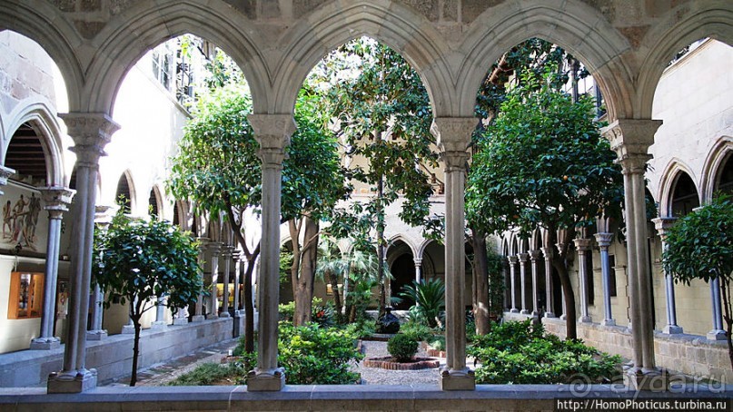 Экспресс-Барса