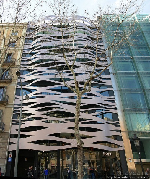 Экспресс-Барса