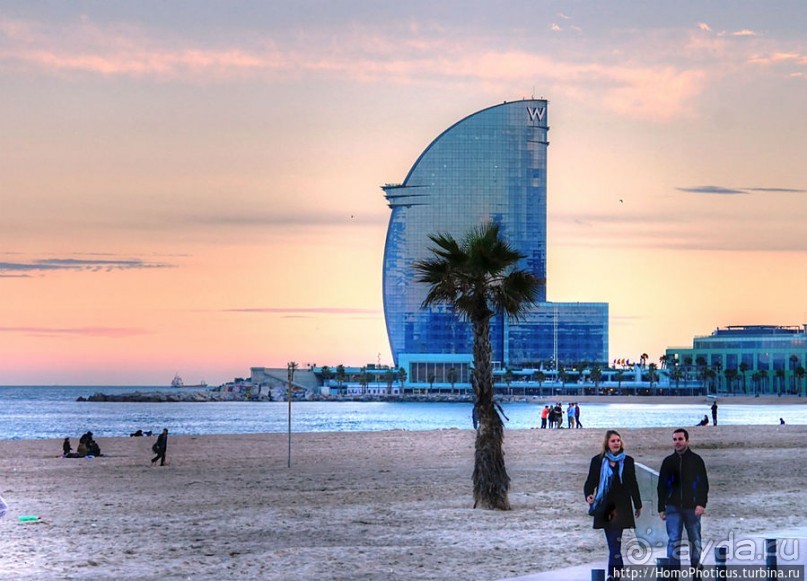 Экспресс-Барса