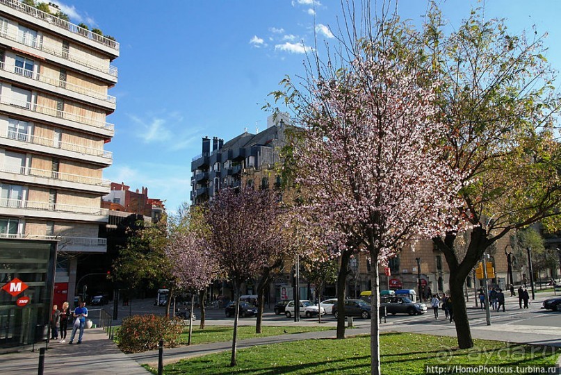 Экспресс-Барса