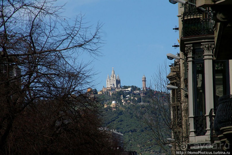 Экспресс-Барса