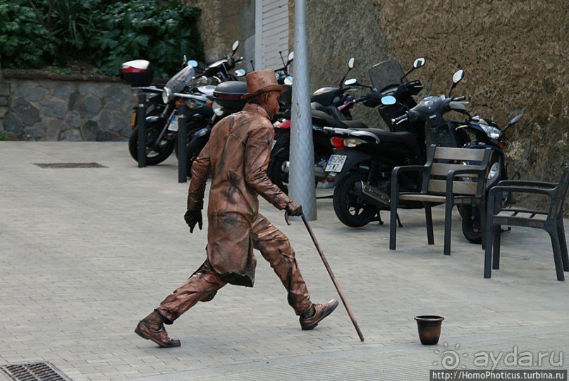 Экспресс-Барса