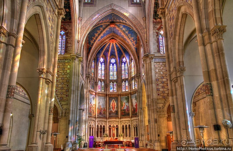 Экспресс-Барса