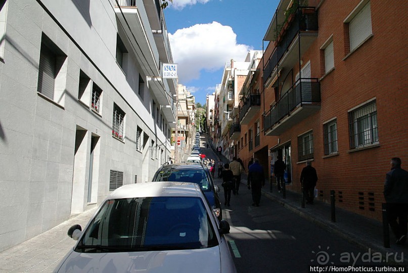 Экспресс-Барса