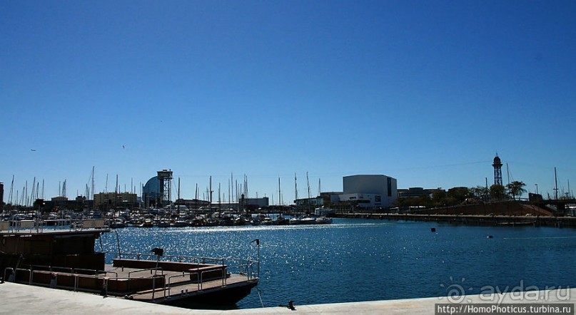 Экспресс-Барса