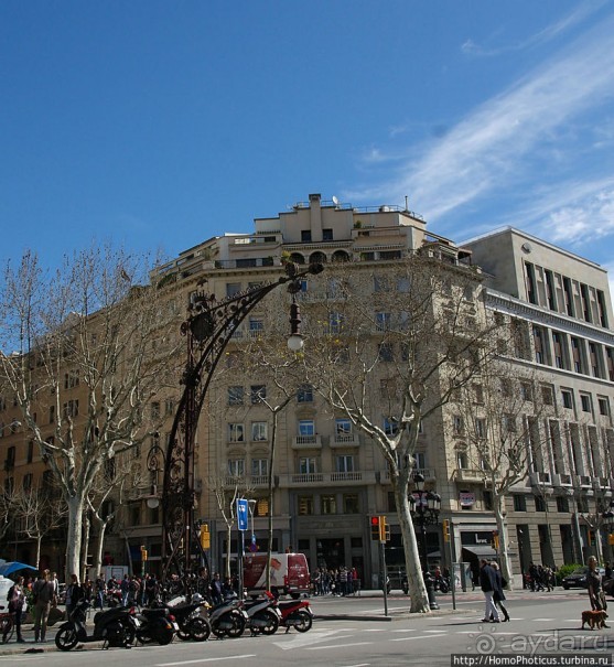 Экспресс-Барса