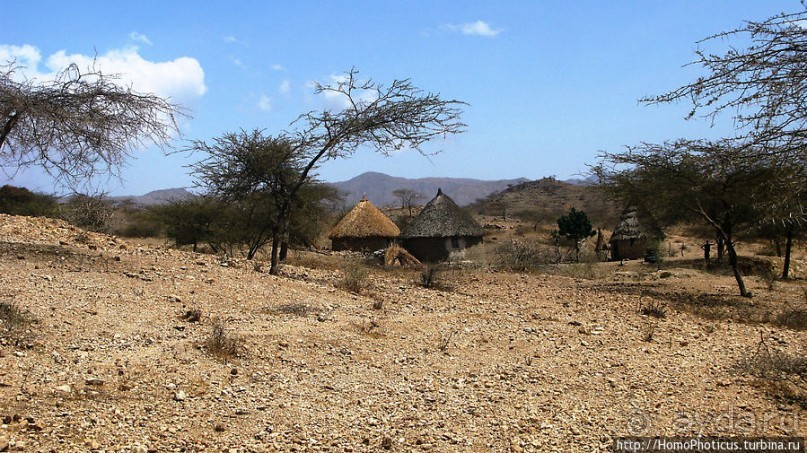 В земле тиграев и баобабов
