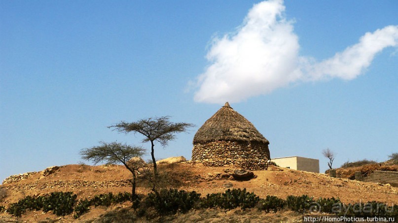 В земле тиграев и баобабов