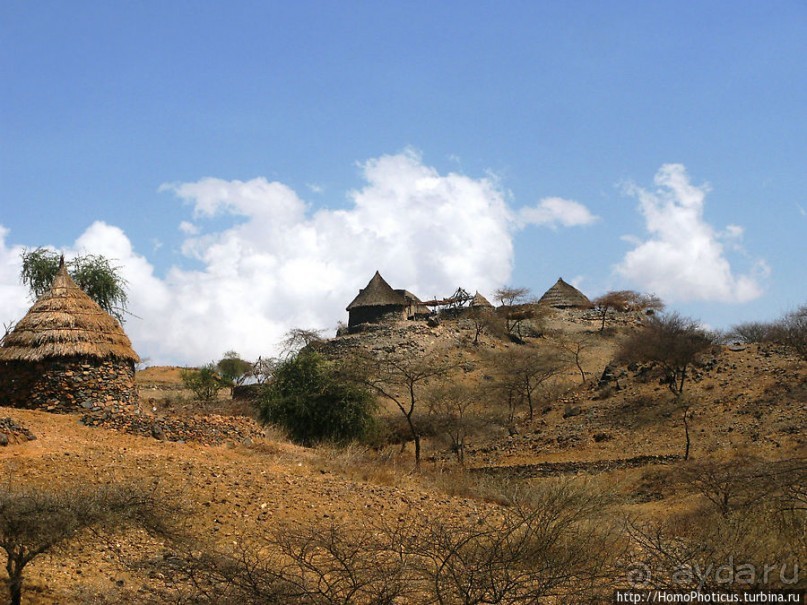 В земле тиграев и баобабов