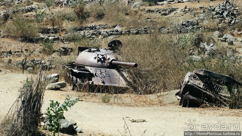 В земле тиграев и баобабов