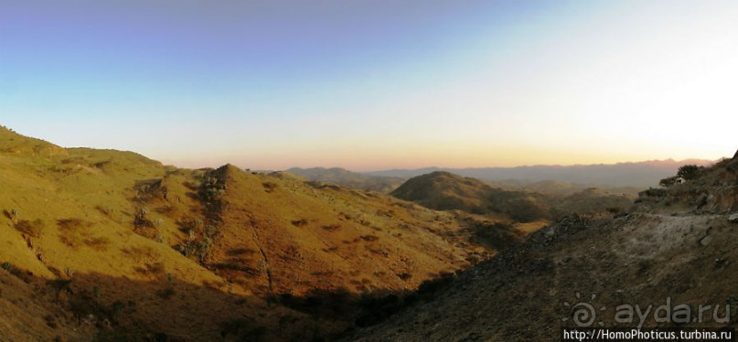 В земле тиграев и баобабов