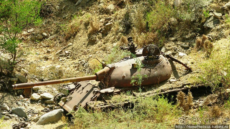 В земле тиграев и баобабов