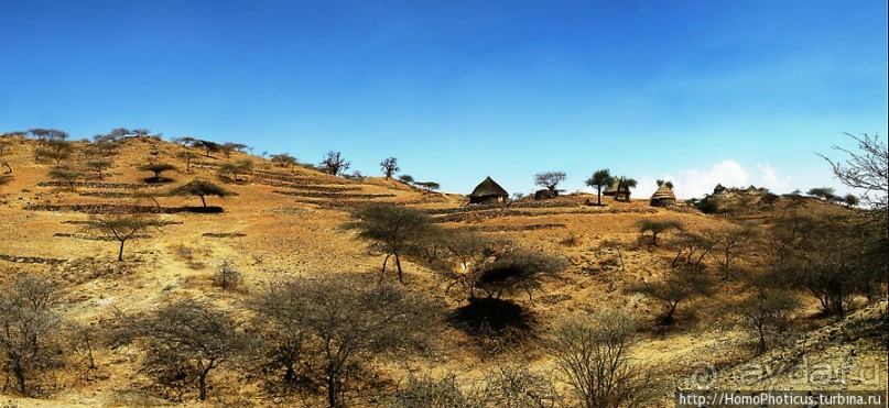 В земле тиграев и баобабов