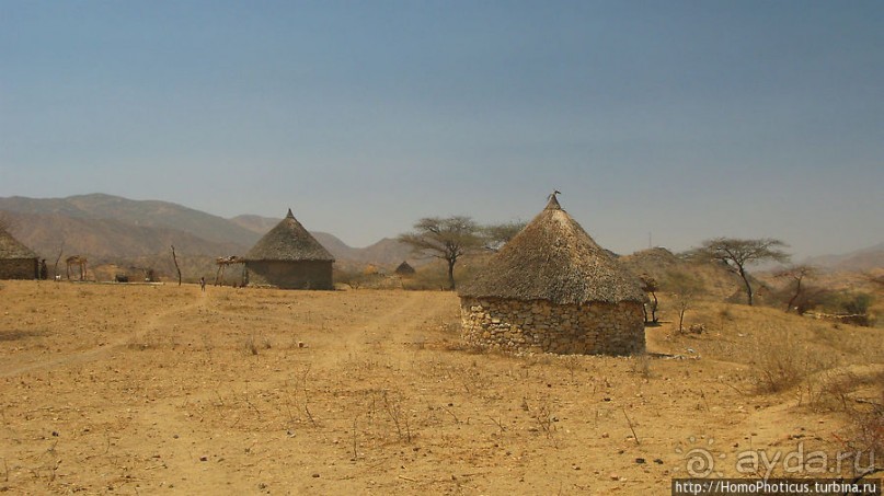 В земле тиграев и баобабов