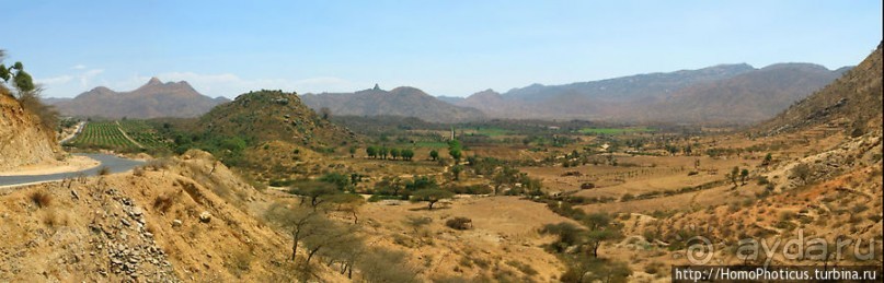 В земле тиграев и баобабов