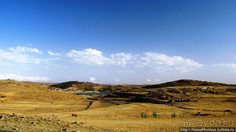 В земле тиграев и баобабов