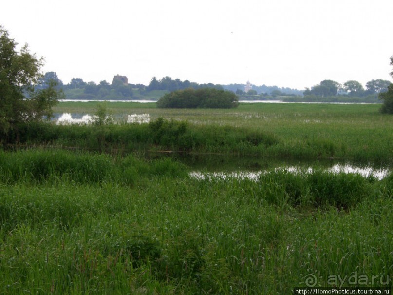 Деревянное зодчество Витославлиц