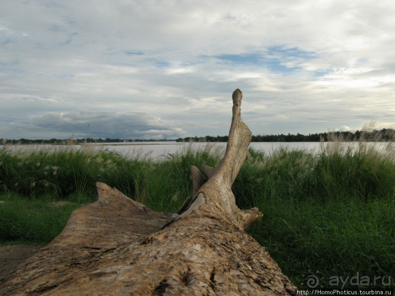 Город в ограде из сандала, или самая большая деревня в Азии