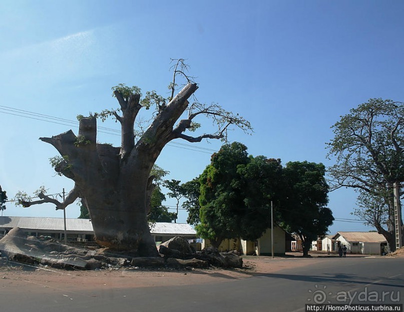 Самая маленькая африканская континентальная страна